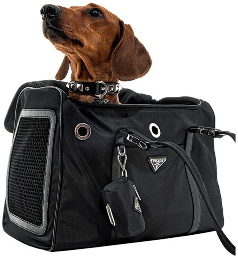 prada hund|prada leather dog bag.